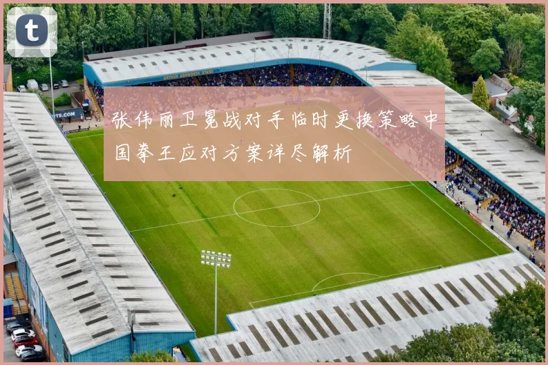 张伟丽卫冕战对手临时更换策略中国拳王应对方案详尽解析