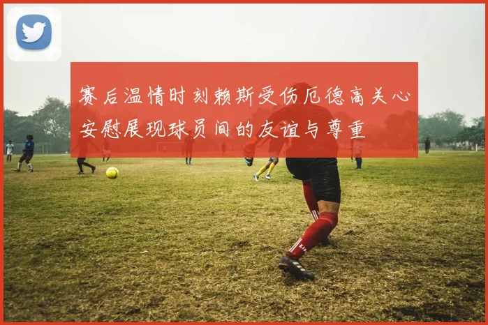 赛后温情时刻赖斯受伤厄德高关心安慰展现球员间的友谊与尊重